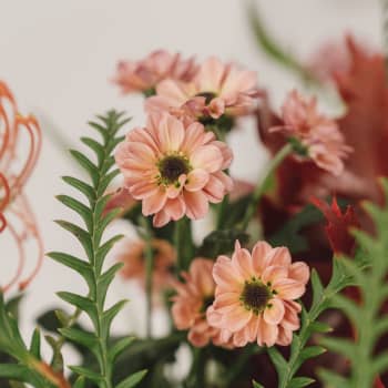 Ramo de Flores naturales Canela