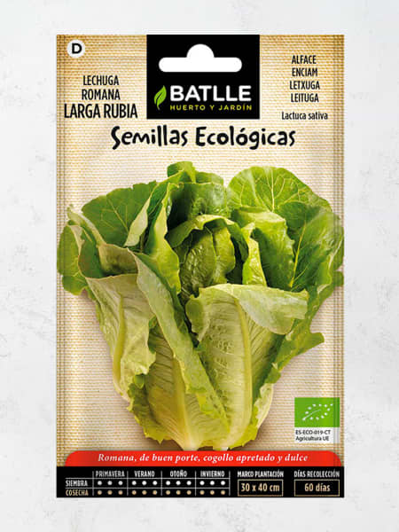 Semillas ecológicas de lechuga romana larga rubia