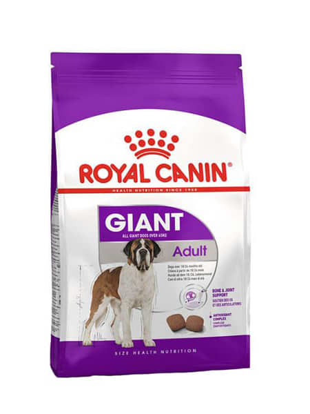 Royal canin adult giant