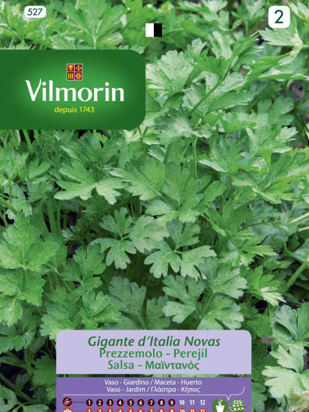 Semillas de Perejil Gigante de Italia Novas