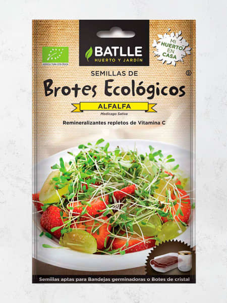 Semillas brote alfalfa