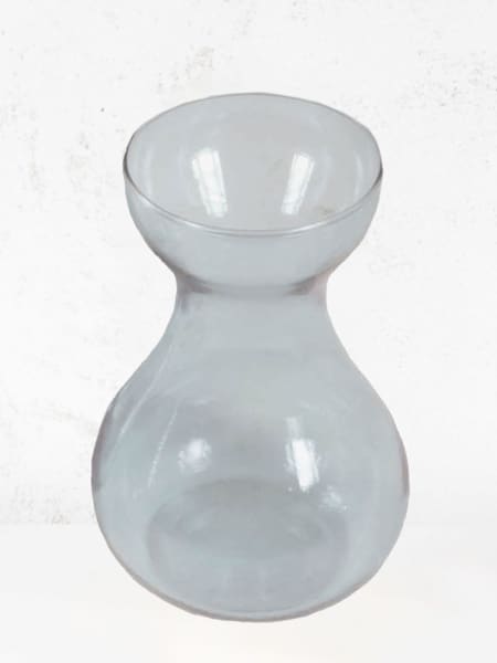 Jacintero transparente