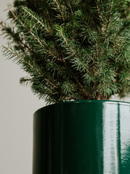 Mini Árbol de Navidad Picea