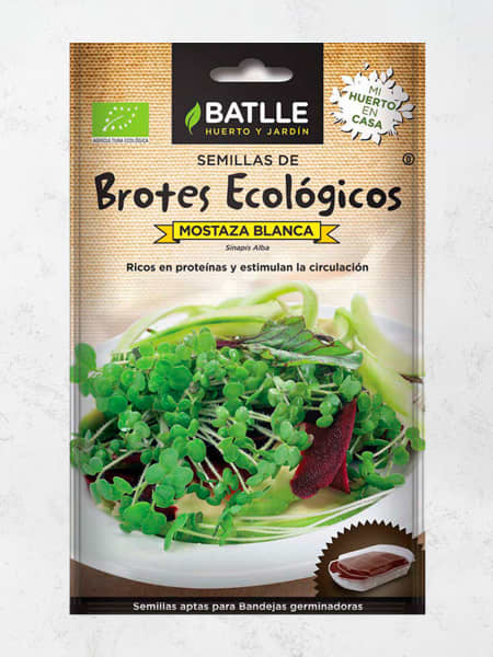 Semillass brotes mostaza blanca eco