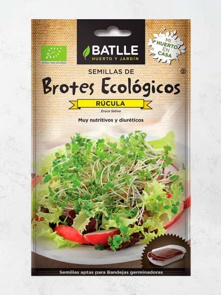 Semillas brotes rúcula eco