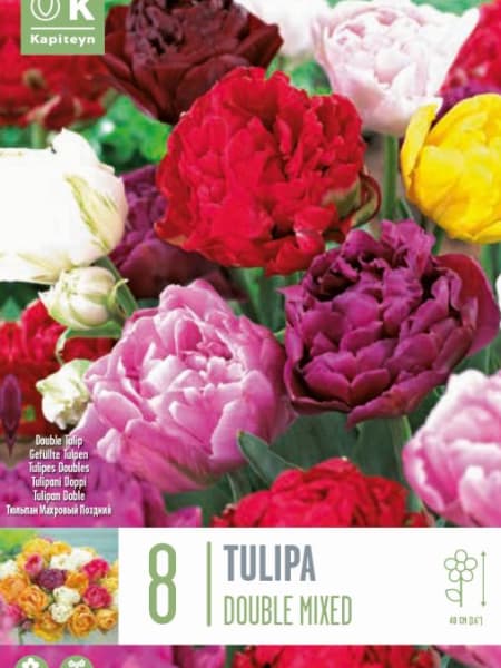 Bulbos de Tulipán Double Mix Colours