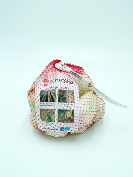 Calçots bolsa 2k  - Planta de huerto