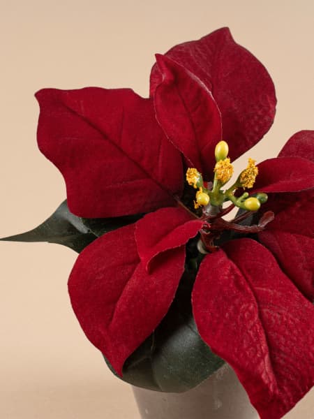 Flor de Pascua Artificial roja mini