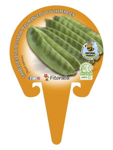 Tirabeques - Planta de huerto