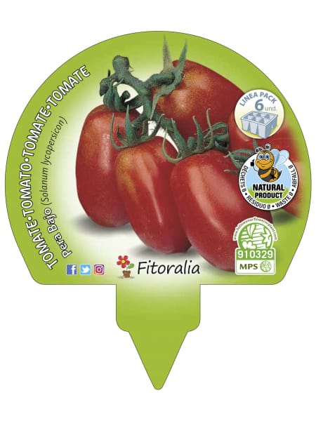 Tomate pera mata baja - Pack de 6 plantas de huerto