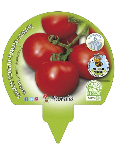 Tomate racimo - Pack de 6 plantas de huerto