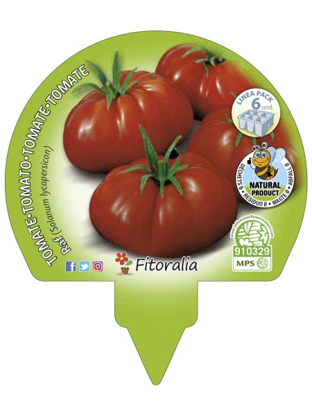 Tomate Raf - Planta de huerto