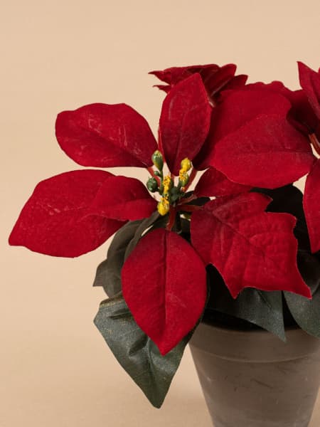 Flor de Pascua Artificial roja pequeña
