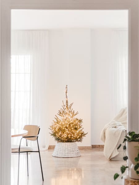 Árbol de Navidad Natural Excelsa (semi-enraizado)
