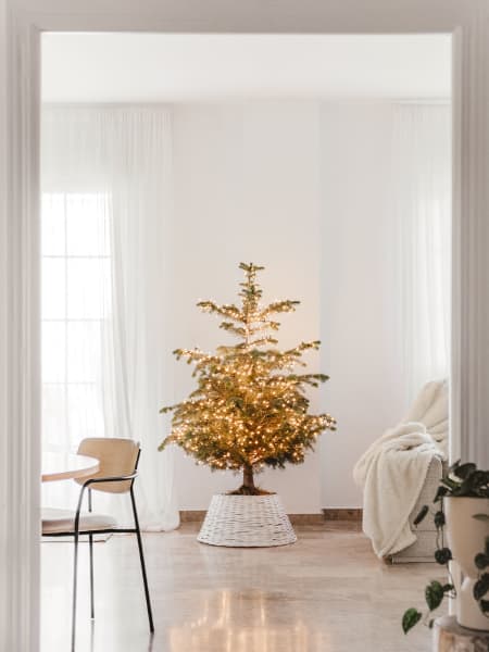 Árbol de Navidad Natural Nordmanniana (enraizado)
