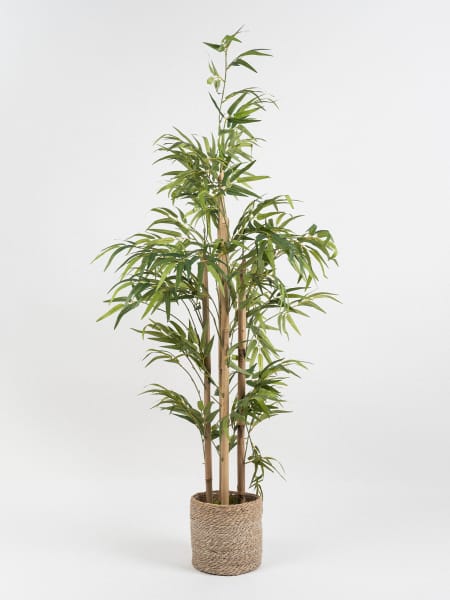 Planta artificial Enredadera - Cantia