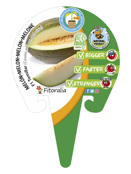 Melón Injertado F1 Tomillar - Planta de huerto