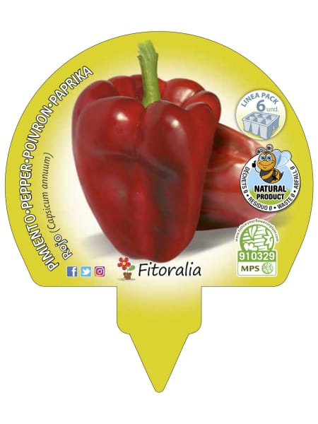 Pimiento rojo - Pack de 6 plantas de huerto