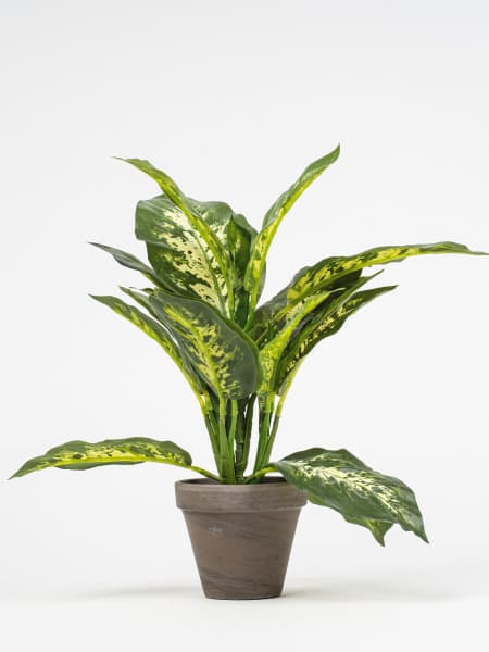 Maceta dieffenbachia artificial verde