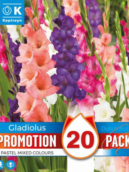 Bulbos Gladiolo Pastel Mix Colores 20uds