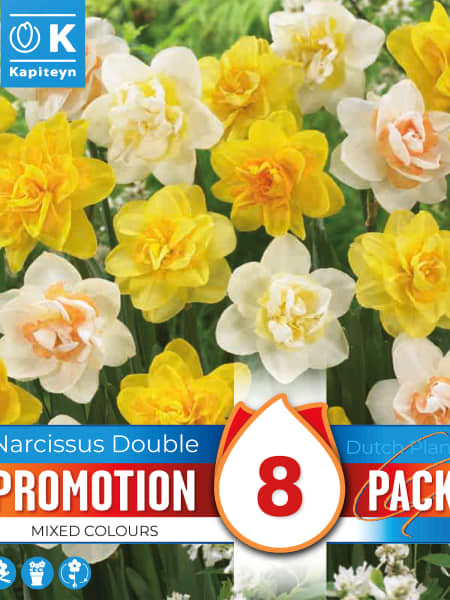 Bulbos de Narcissus Mix Promotion Double