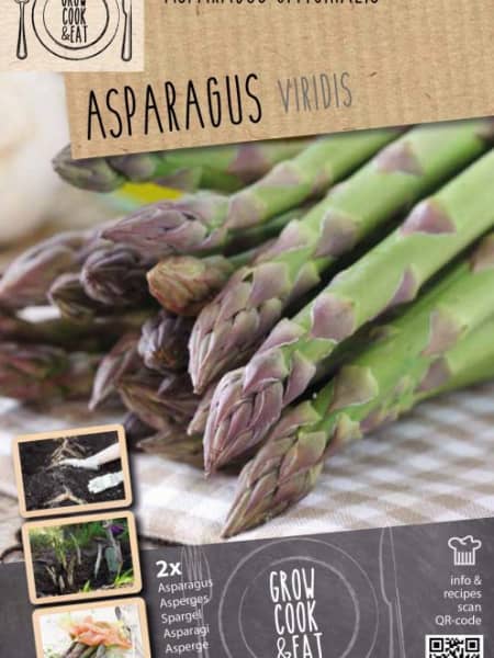 Bulbos esparrago viridis 2uds