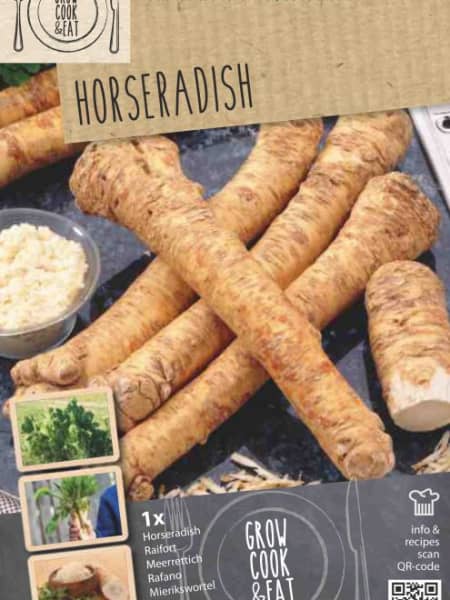 Bulbos rabano rusticana