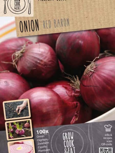 Bulbos cebolla red baron 100uds