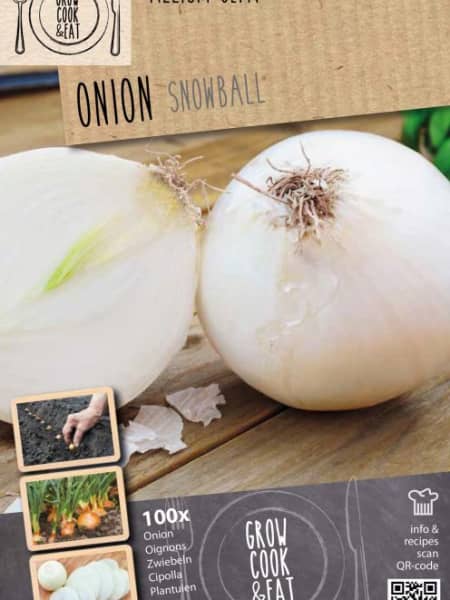 Bulbos cebolla snowball 100uds