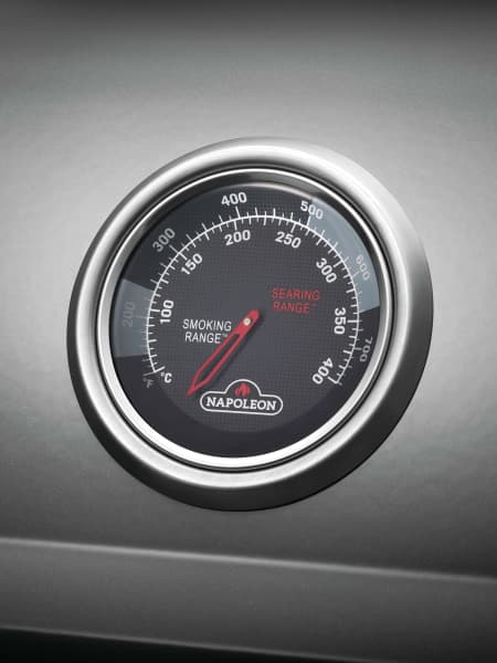 Barbacoa Napoleón de gas Freestyle 365