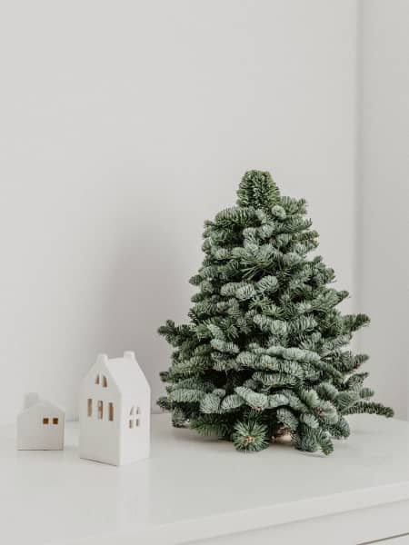 Árbol natural de ramas de abeto