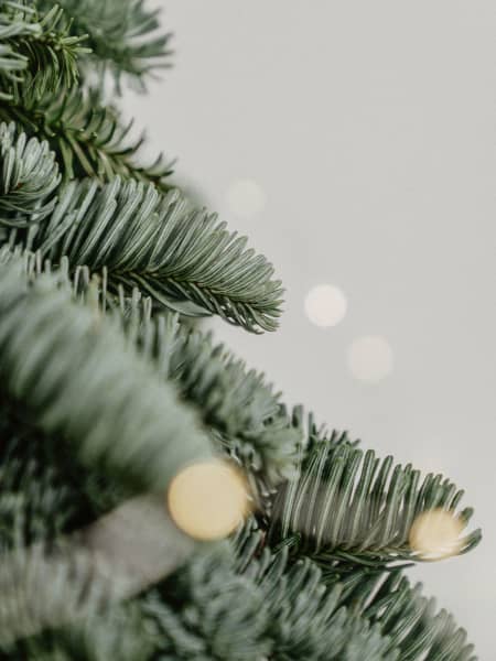 Árbol natural de ramas de abeto