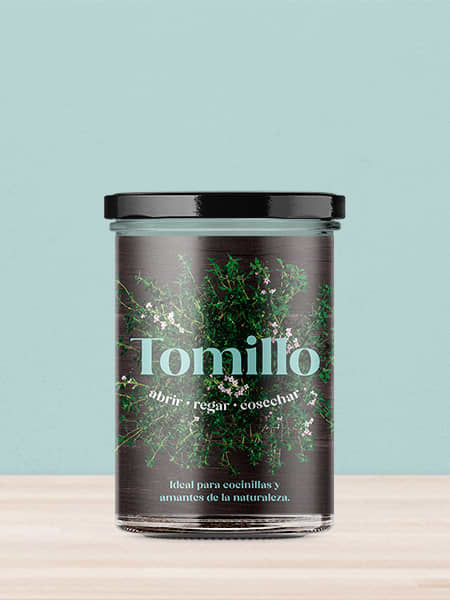 Huerto de Cocina de Tomillo Resetea