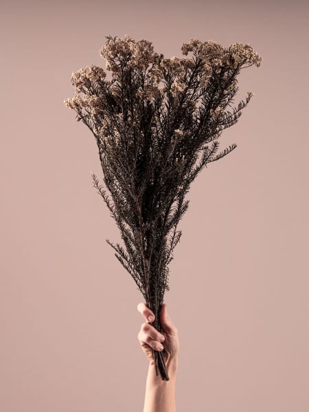 Ramillete Preservado de Flor de Arroz