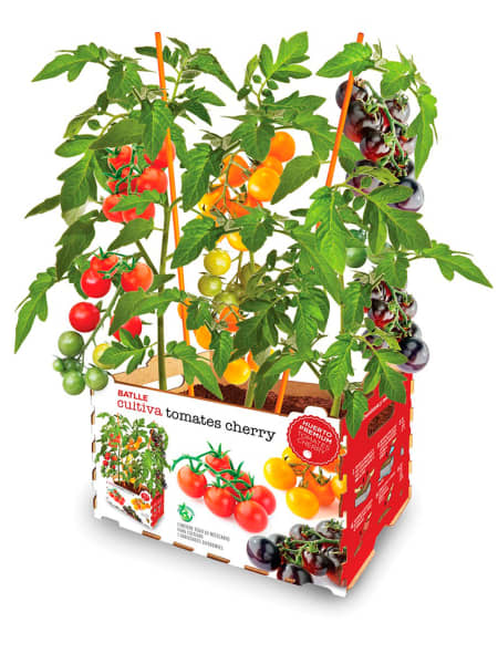 Huerto Premium Tomates Cherry Batlle