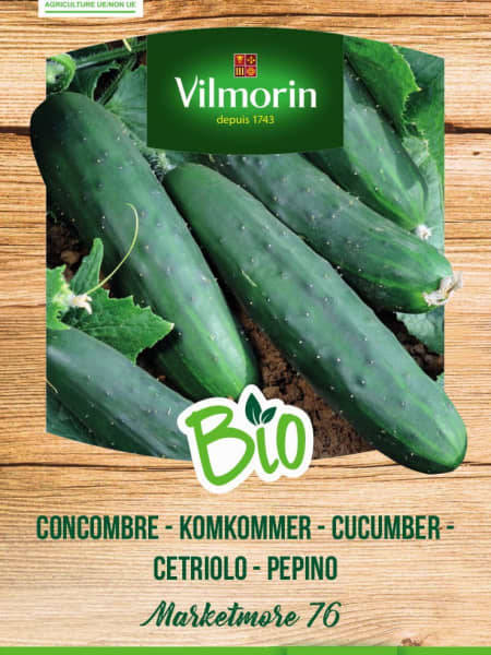 Semillas Pepino Marketmore Bio Vilmorin