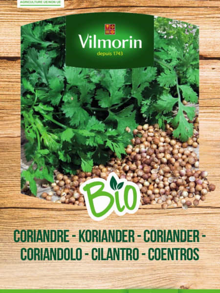 Semillas Cilantro Bio Vilmorin