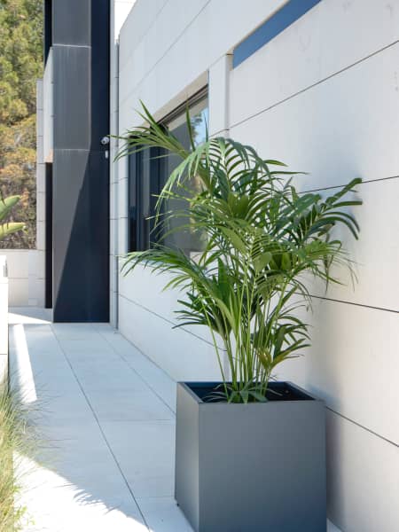 Herstera Metal Planter - Jardinera CUBE antracita