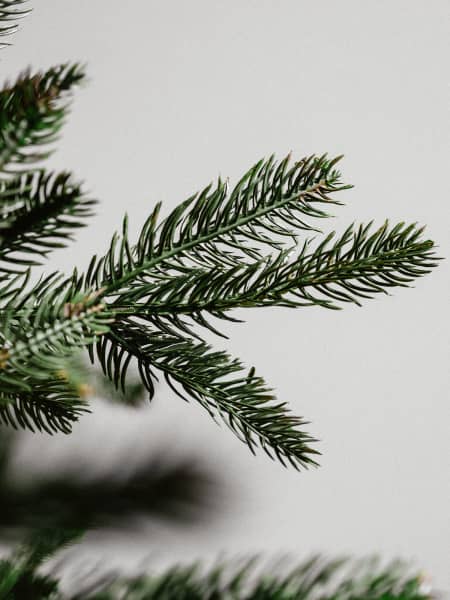 Árbol de Navidad Artificial Frasier