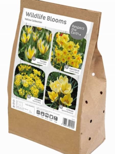 Bulbos de  Wildlife Blooms - Yellow Collecition