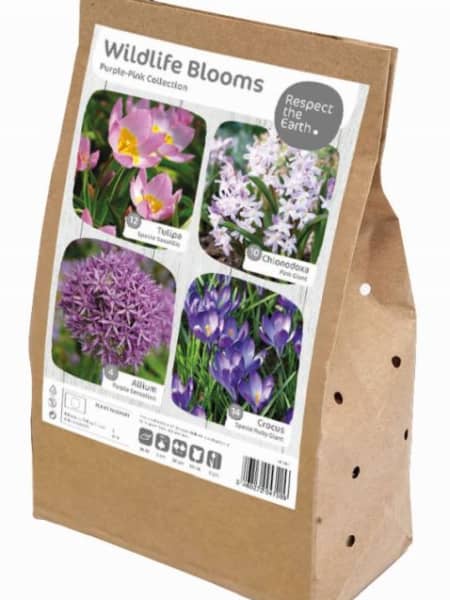 Bulbos de  Wildlife Blooms - Purple-Pink Collecition