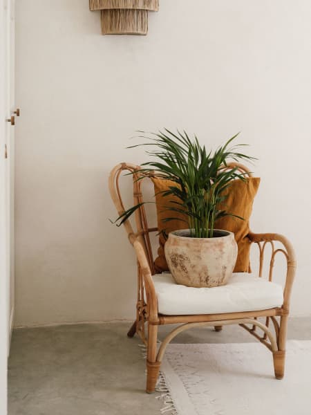 Maceta de Barro Delta Campana Dama - Herstera