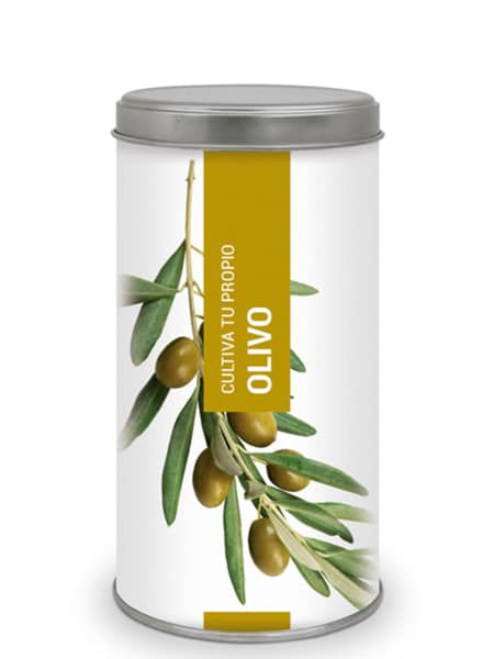 Kit Cultiva tu propio olivo