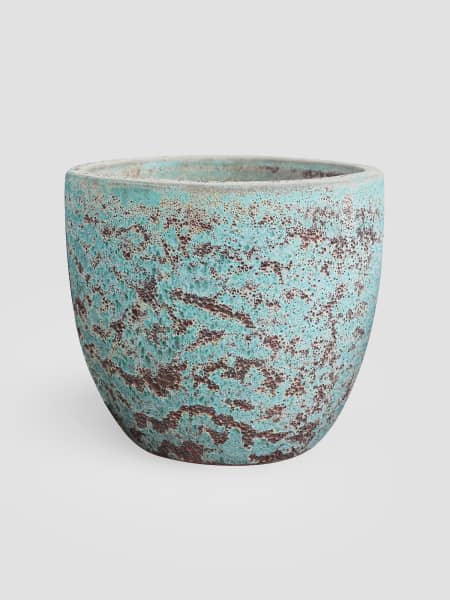 Maceta Fronda Angkor esmeralda (Campana)