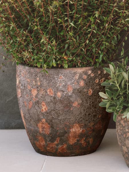 Maceta Fronda Angkor óxido sunset (Campana)