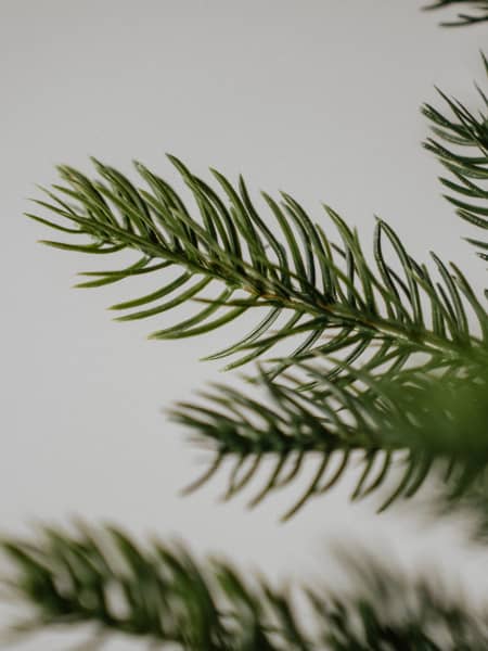 Árbol de Navidad Artificial Grandis