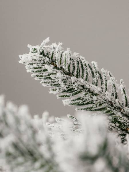 Árbol de Navidad Artificial Allison Nevado