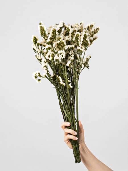 Ramillete Preservado de Statice blanco