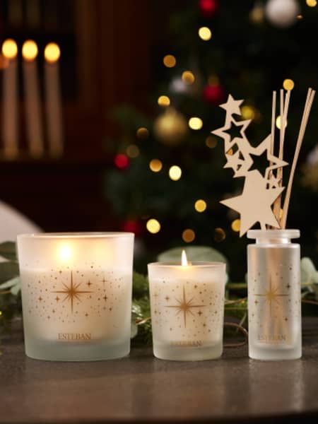 Bouquet Perfumado Recargable Thé et Pain d’épices - Esteban París