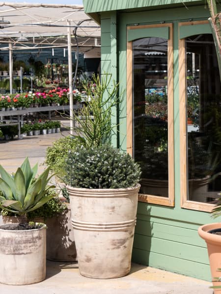 Maceta Fronda Antique Tafari Cónico